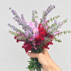 A bouquet of flowers