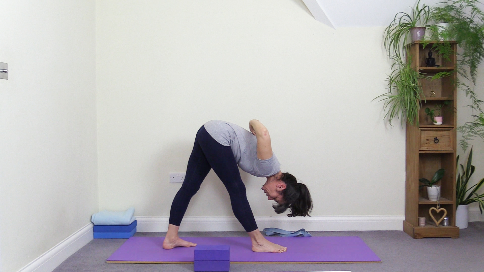 Re-Energize, Find Greater Joy: A Home Yoga Practice w/ Alanna Kaivalya